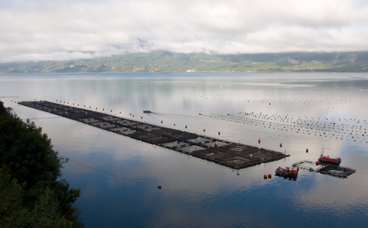 Compañías, Comunidades y Relacionamiento Responsable