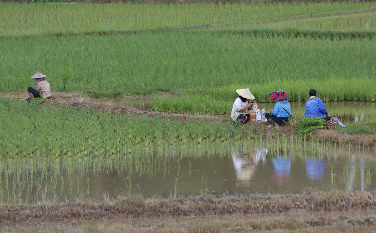 FOOD: Session & Lessons