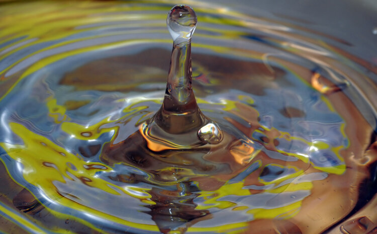 WATER: Session & Lessons