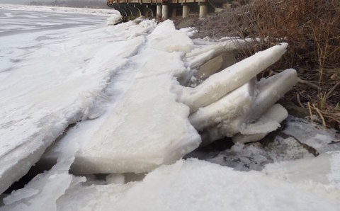 The Hudson River Sustainable Shorelines: Facilitating a Collaborative Research Process