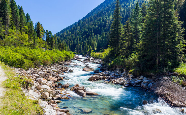 Water Research Foundation: Developing a Roadmap for U.S. Source Water Protection