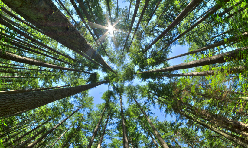 Maryland Coastsmart Negotiation Role-Play