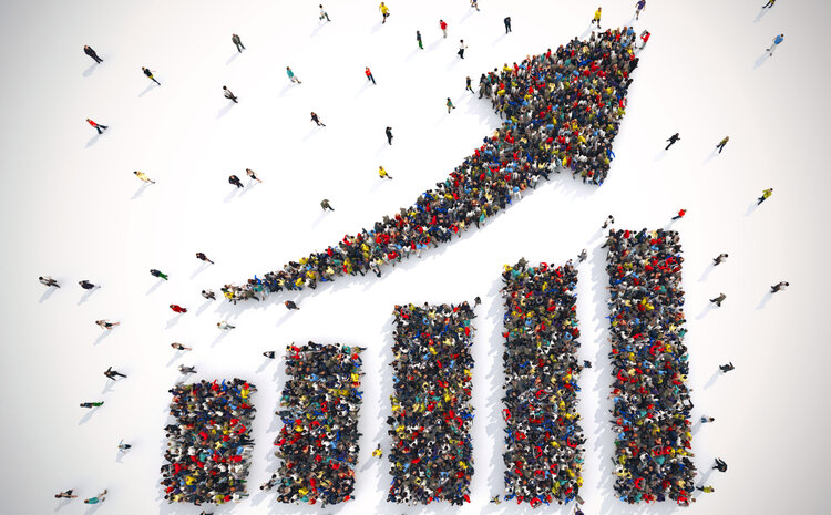 Building Organizational Capability to Drive Business Results