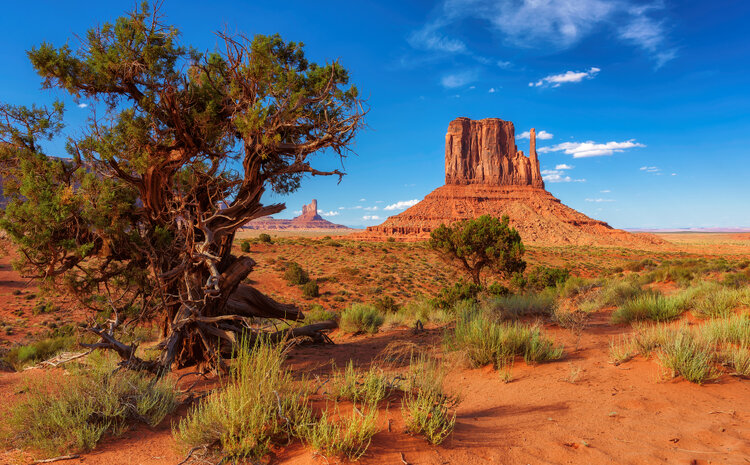 Addressing the Land Claims of Indigenous Peoples Around the World