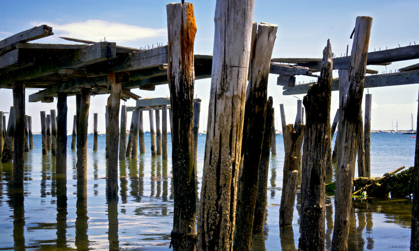 Why Don't Green Treaties Work? 'Science Extra' Interview: Lawrence Susskind