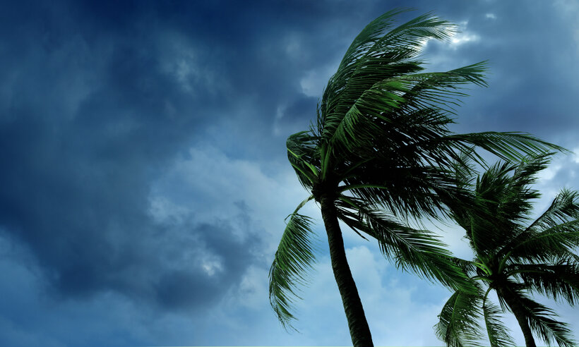  Energy NIMBYism: Larry Susskind on NHPR