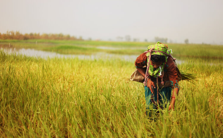 Shrinking Planet: Gender