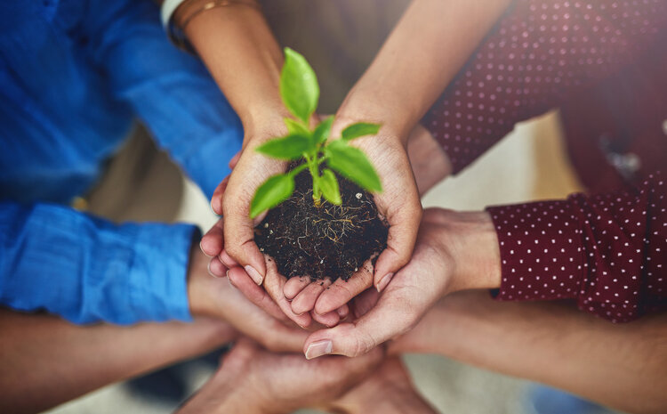 The Effects of Climate Change Are All Local: Here's What You Can Do to Help Manage the Risks