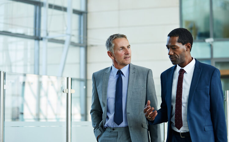 The Negotiator’s Fieldbook: The Virtues and Limits of a Kaleidoscope