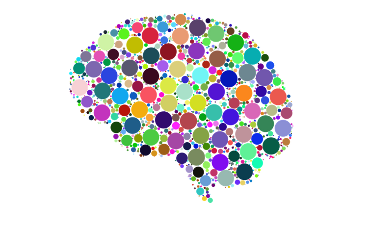 Don’t Believe Everything You Think: The Pitfalls of Cognitive Bias