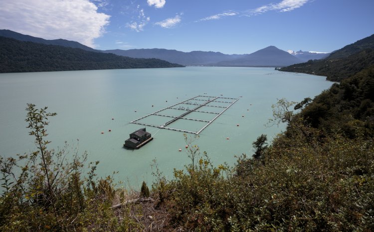 Guiding Chile’s Salmon Farmers toward More Sustainable Community Relations