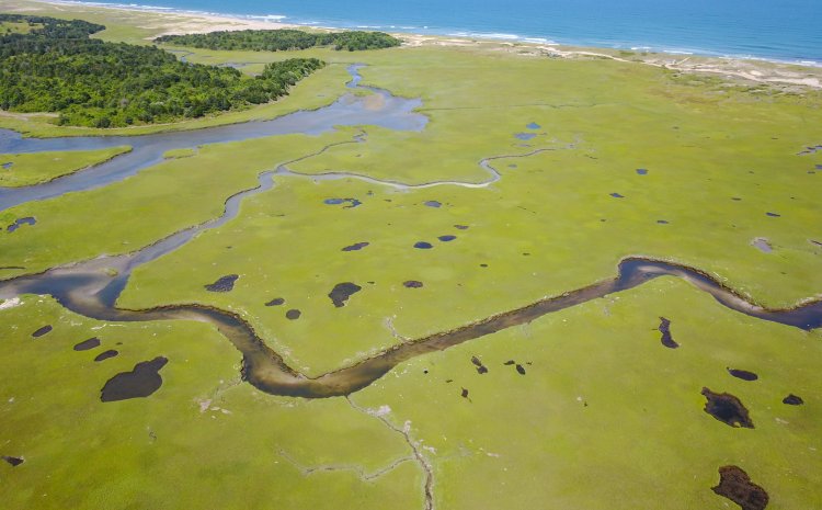 Building Consensus on Improving Cape Cod Water Quality