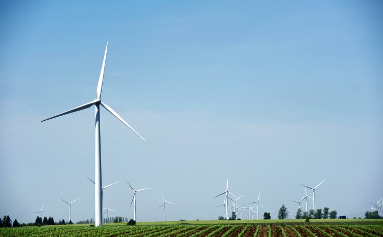 Beyond NIMBY: Exploring Stakeholder Landscape Values and Wind Energy Development