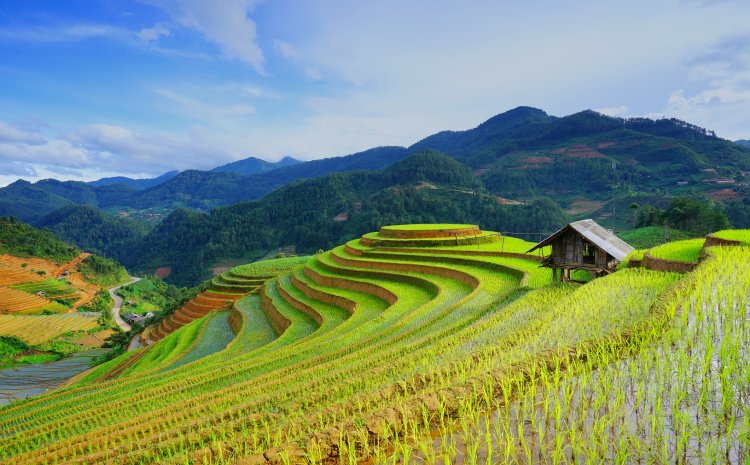 Addressing Climate Change Risks in Ghana and Vietnam