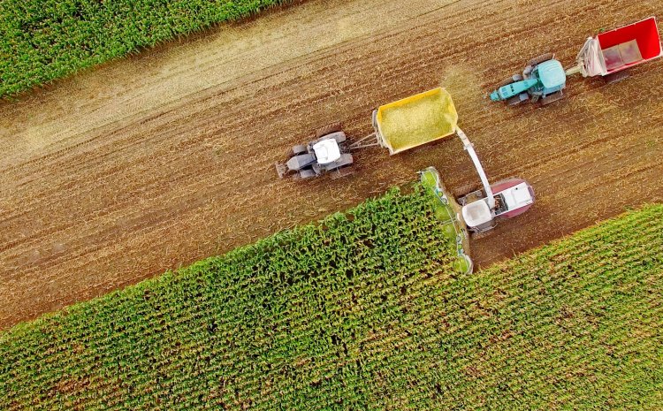 Facilitating the Farm and Food Policy Project