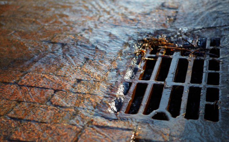 Designing and Convening a Policy Dialogue on Wastewater in Delaware