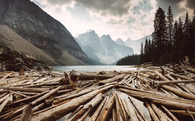 Building Capacity for Mediation with the Alberta Environmental Appeals Board