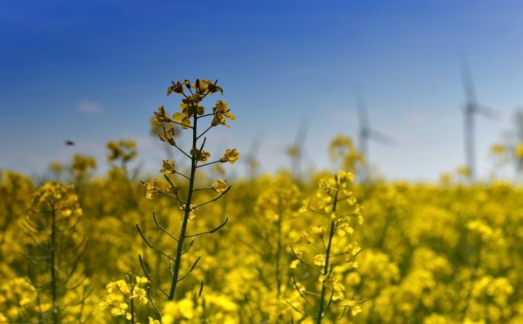 Evaluating Multistakeholder Dialogues for the United Nations Commission on Sustainable Development