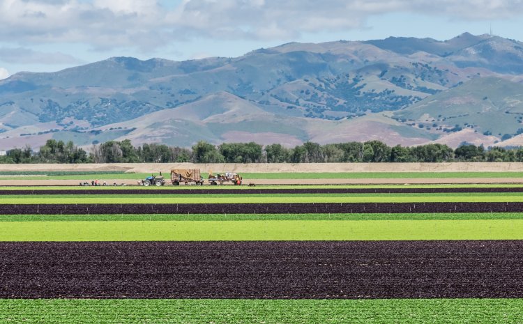Sustaining Groundwater in Salinas Valley
