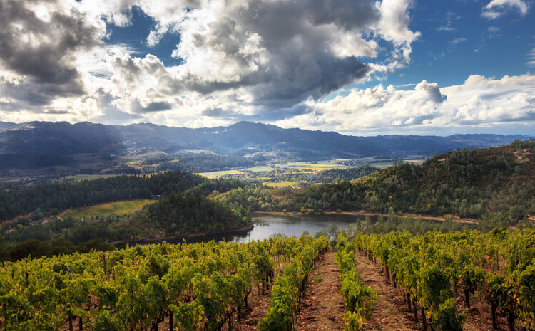 Groundwater Sustainability Agency Formation in Sonoma County, California