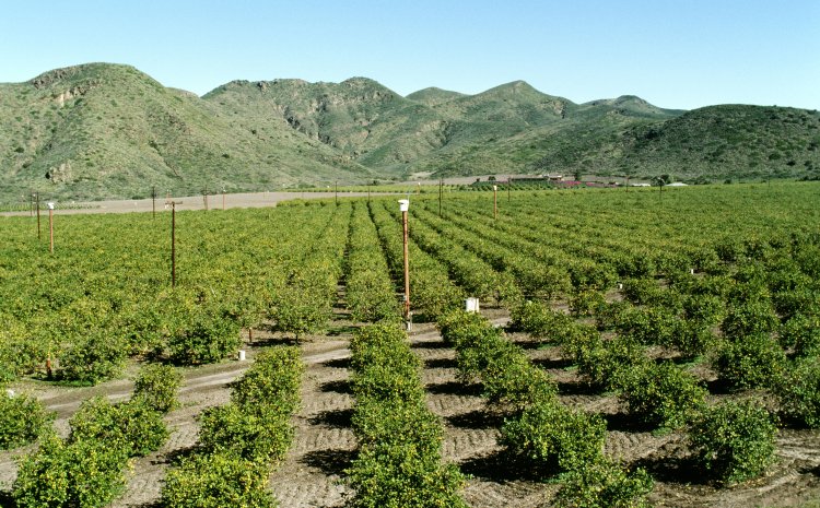 California Passes Landmark Groundwater Management Law