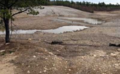 Transforming a Superfund site into a vibrant community resource