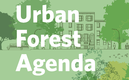 Forest for All NYC