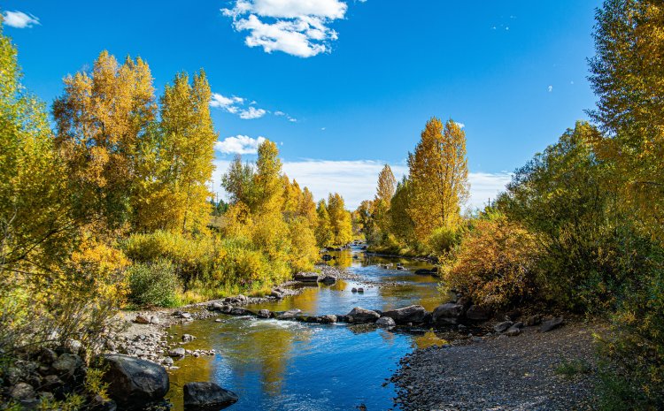 Building Water Collaboration by Helping Water Managers Engage Productively