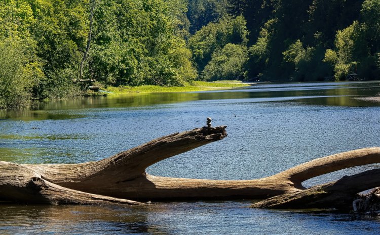 Water-Sharing in the Russian River Watershed