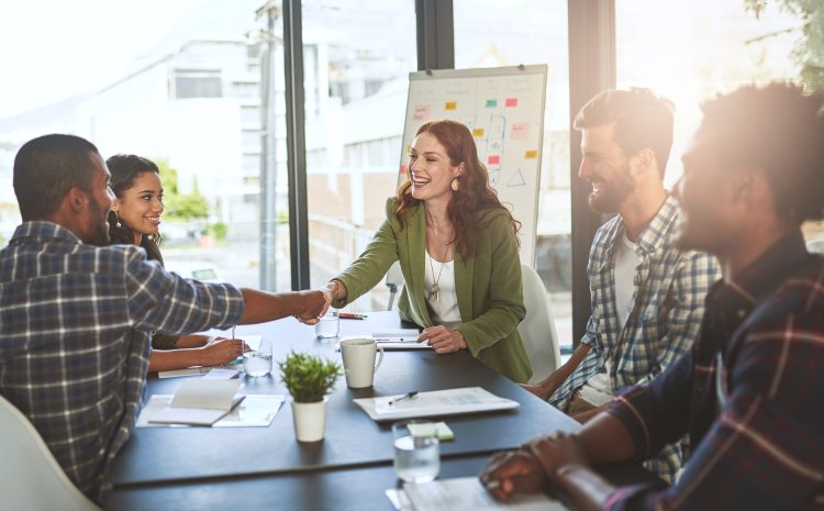 The Art of Negotiation: A Mutual Gains Approach