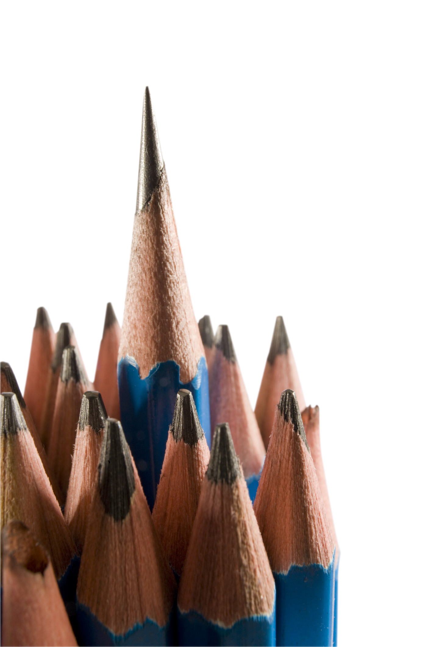 What is a “World-Class Negotiating Organization”?