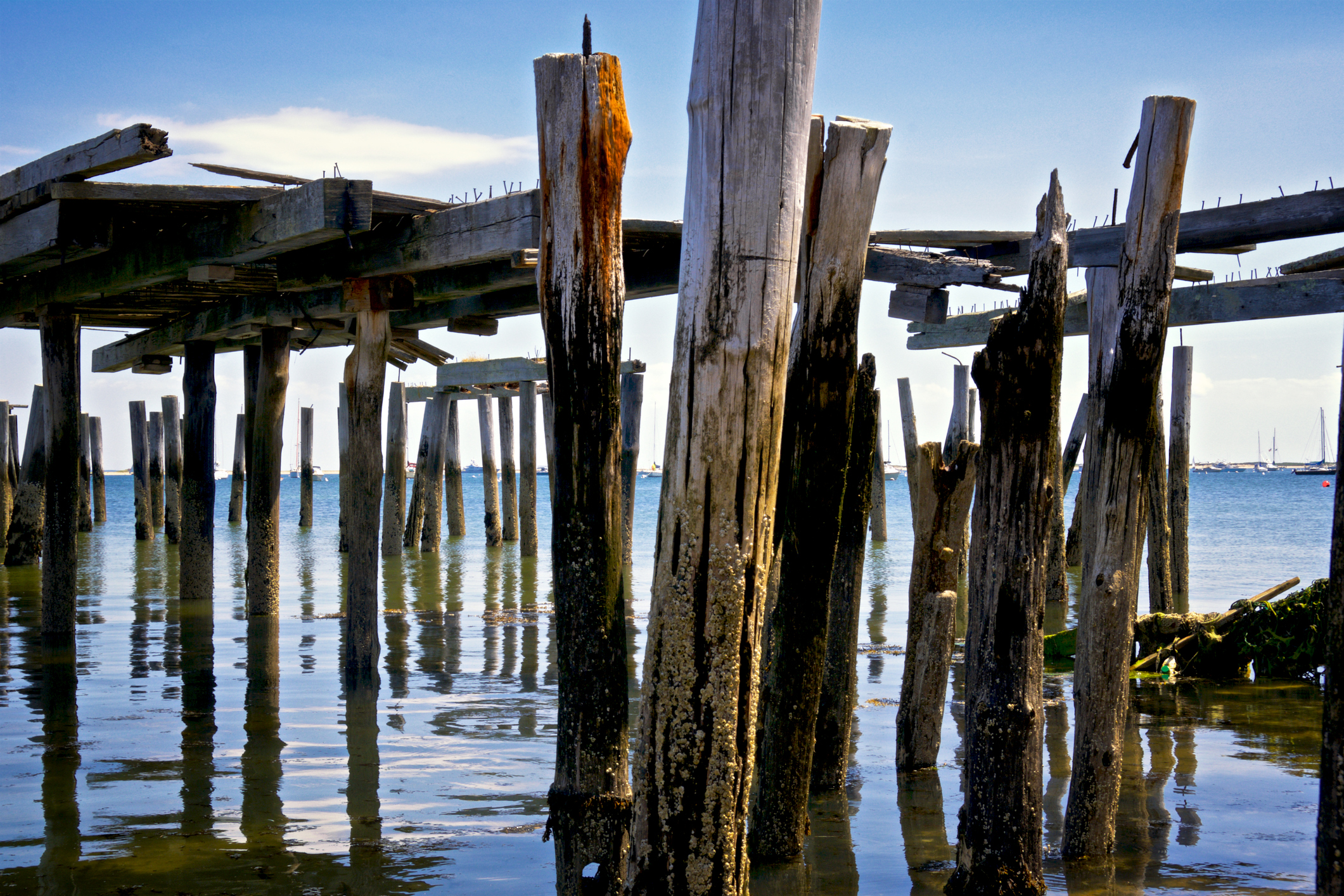 Shoring Up For Uncertain Seas: Seeking Consensus on Sea Level Rise in Coastal Communities