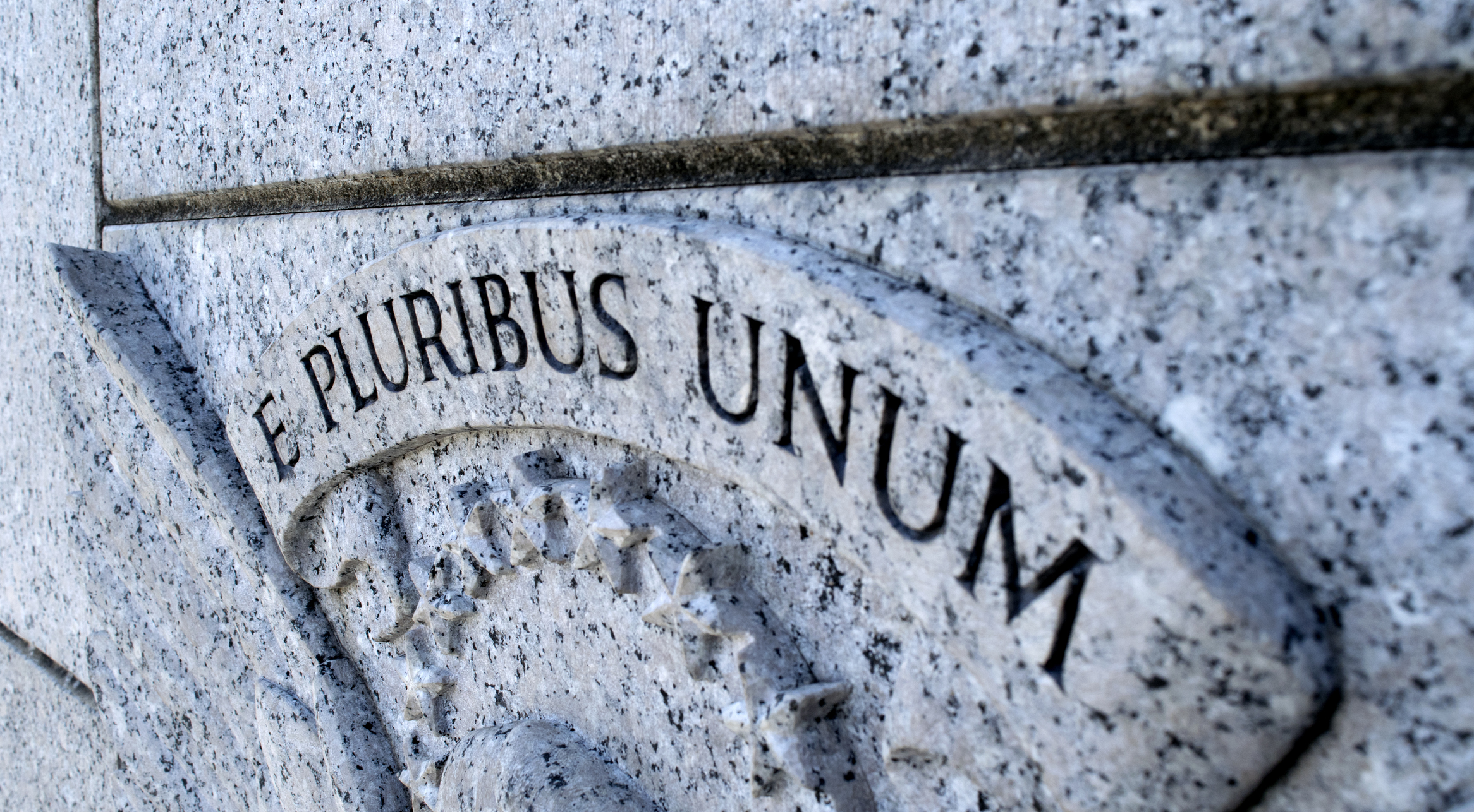 E Pluribus Unum (Out of Many One)