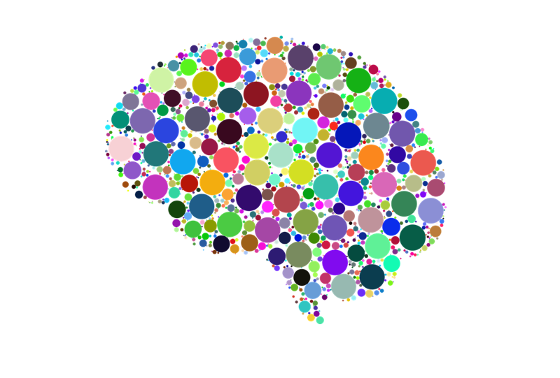 Don’t Believe Everything You Think: The Pitfalls of Cognitive Bias