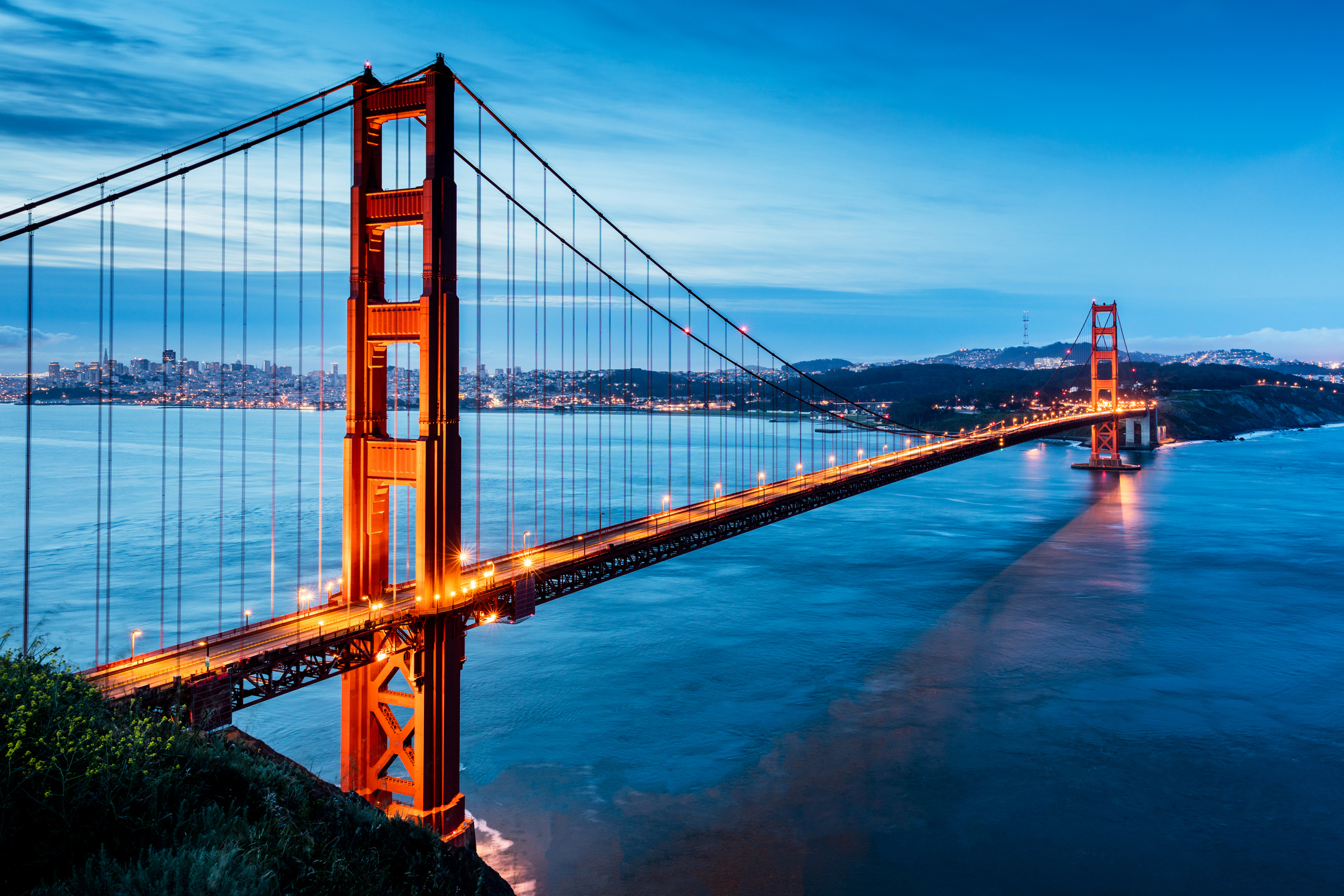 Developing Organizational Governance and Strategy in San Francisco