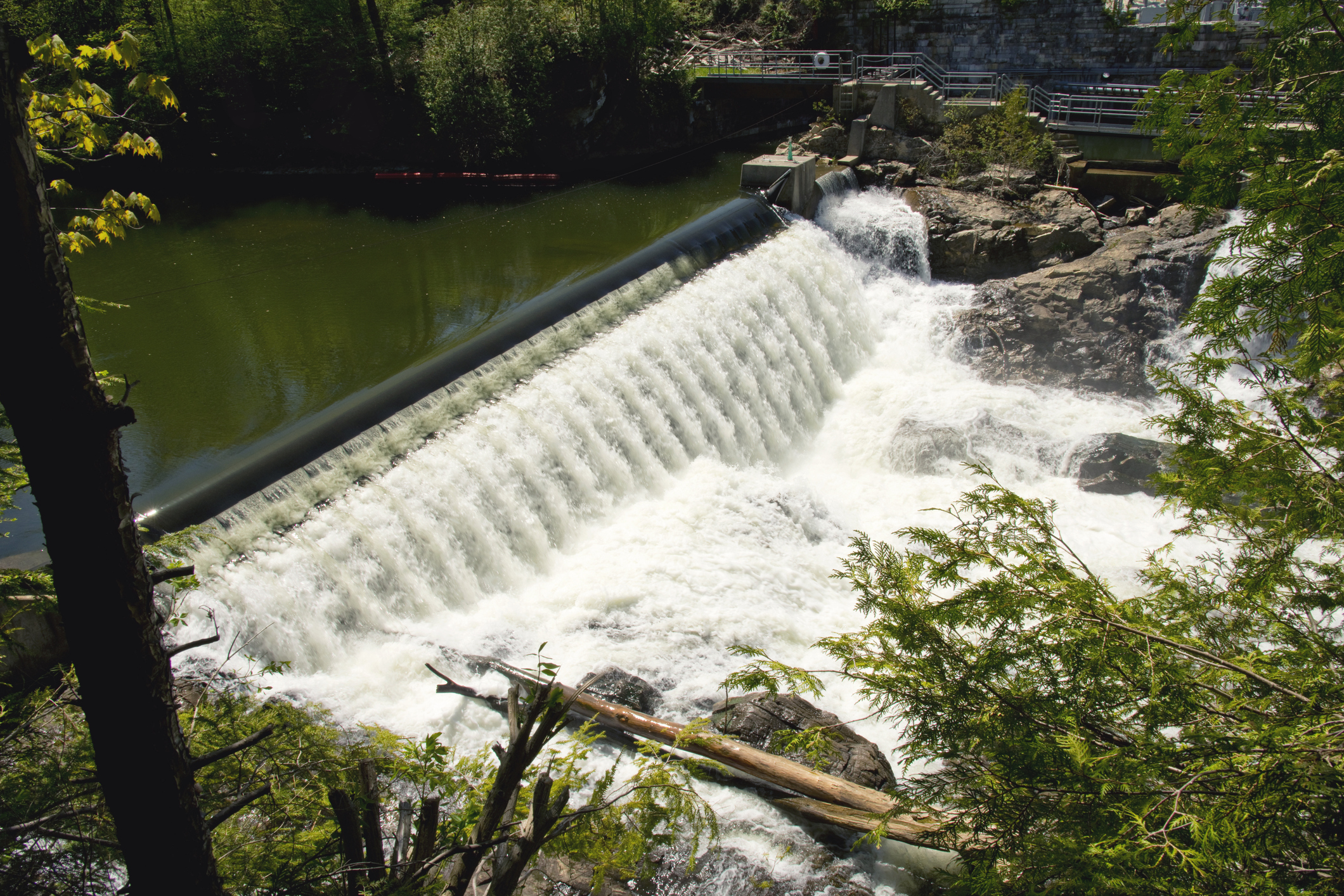 Facilitating Stakeholder Engagement Around Vermont's Energy Policy