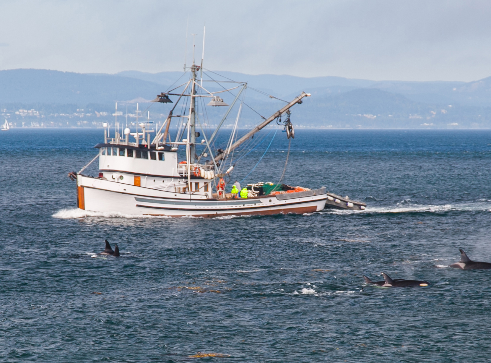 Protecting Whales and Fishing Interests in Hawaii