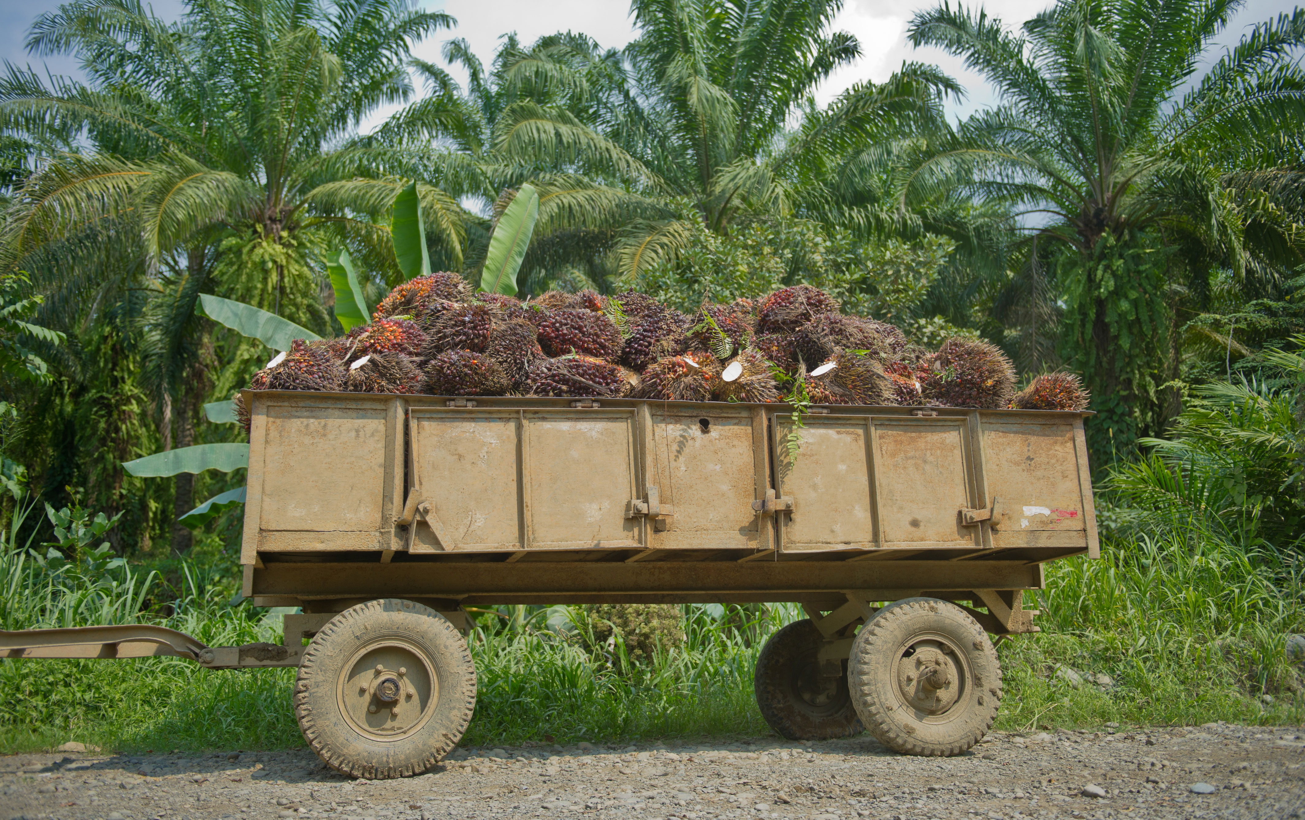 Honduras y conflictos territoriales